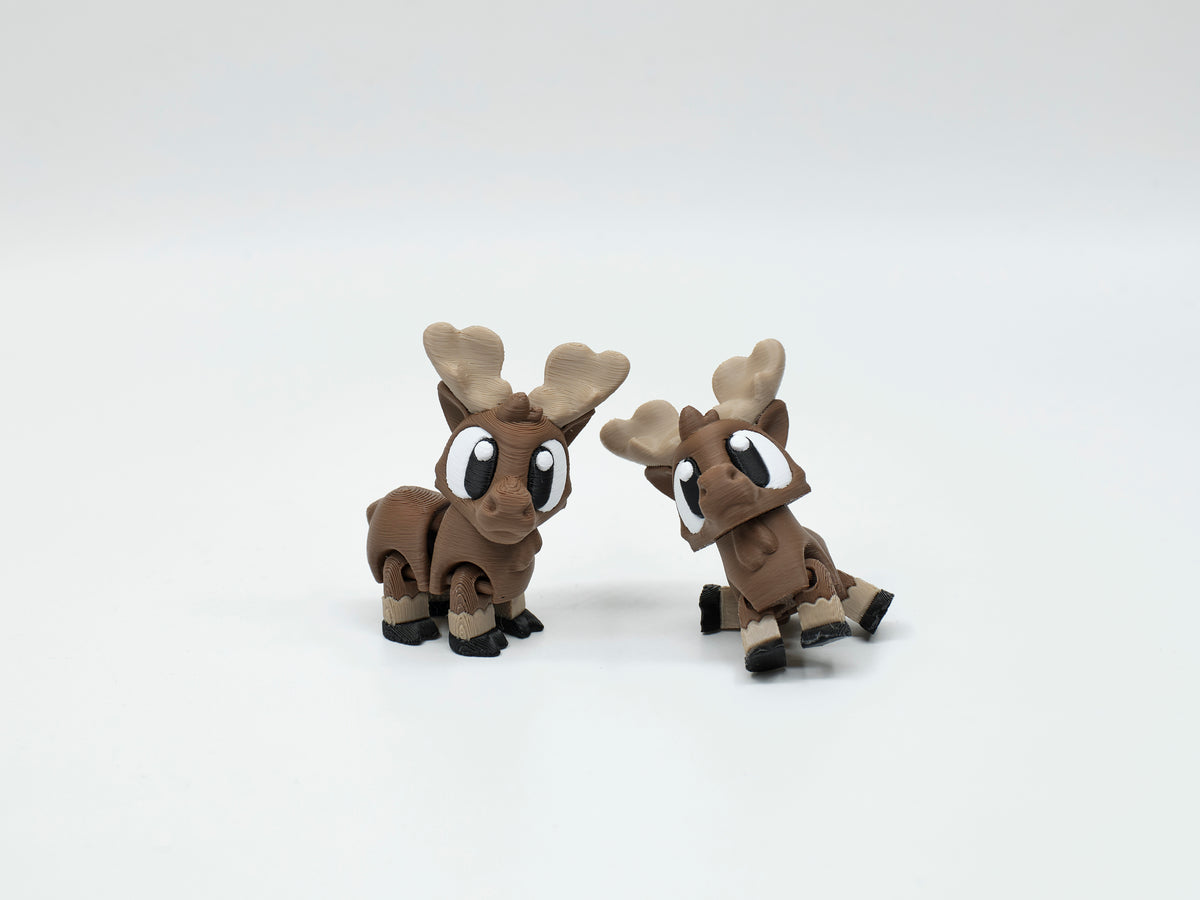 WOBBI #051