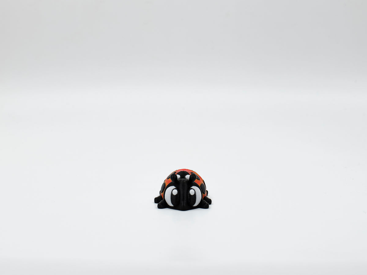 WOBBI #027