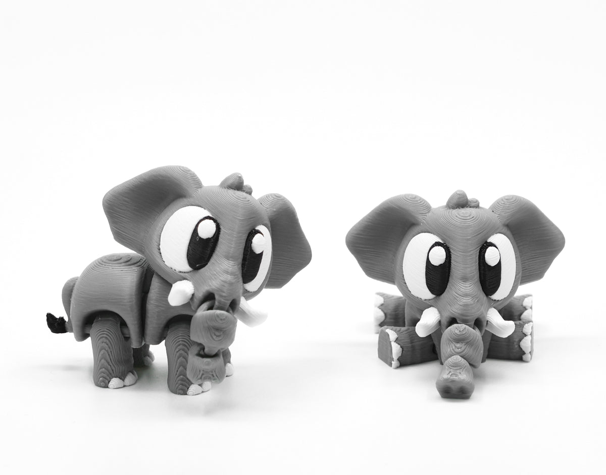 WOBBI #018