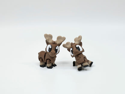 WOBBI #051