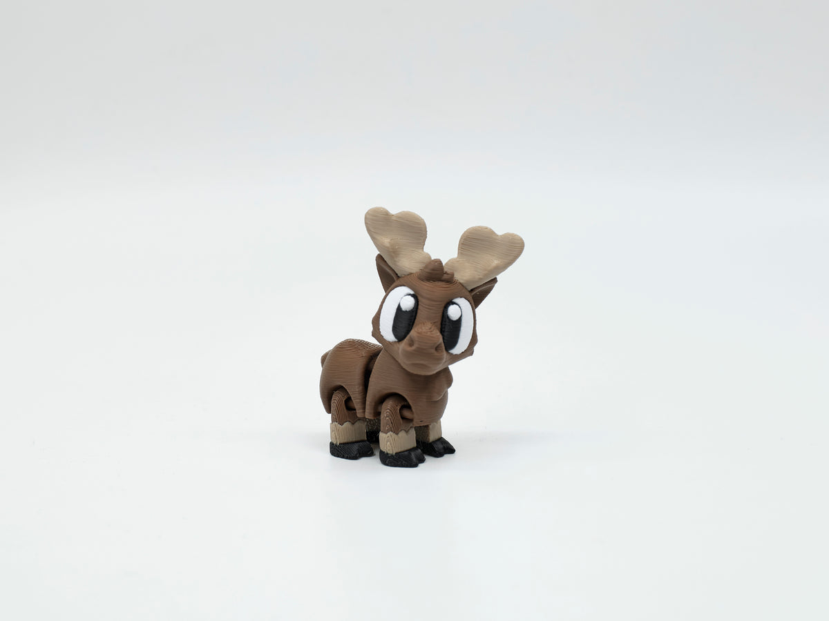 WOBBI #051